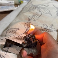 ZIPPO、わんワンピースの画像