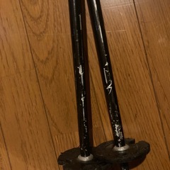 スキーストックの画像