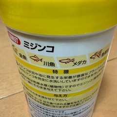 COMET　乾燥ミジンコ‼️ 200円の画像