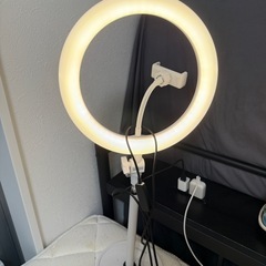 LEDリングライト 10インチの画像