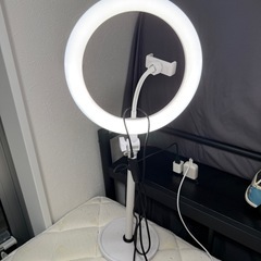 LEDリングライト 10インチの画像