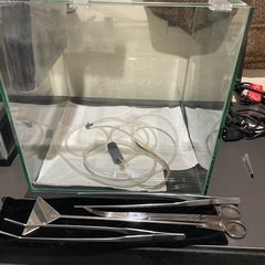 30cmキューブ水槽　ガラス水槽 水槽セット 熱帯魚飼育せぅとセットの画像