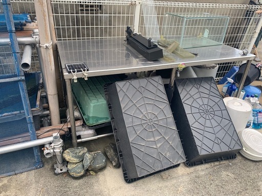 メダカ　飼育　物置　テーブル