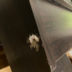 ピアノとイスの画像