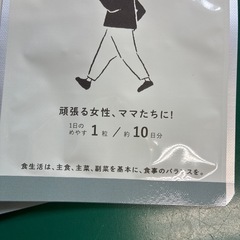 鉄分サプリの画像