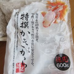 スポイト・かきがらのセットの画像
