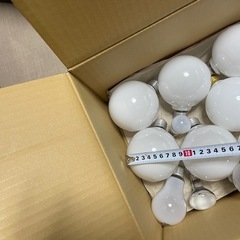 電球大量の画像