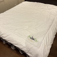 掛け布団　220cmx丈240cm 4kg 抗菌　通気性いい　大豆タンパク質繊維 の画像