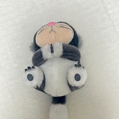 猫 ぬいぐるみの画像