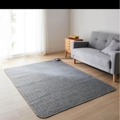 広電 電気カーペット単体 2畳の画像