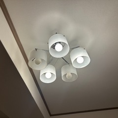 ライト　　の画像