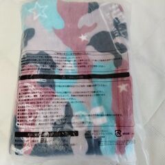 非売品　オートバックス　オリジナルブランケット　薄手　用品　送料が高いので取りにこれる方限定の画像
