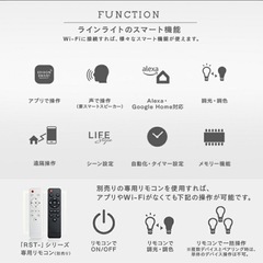 エジソンスマートLEDラインライト照明 ライティングレール80センチの画像