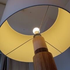 今週木曜日までの画像