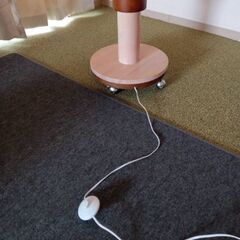 今週木曜日までの画像