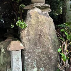 庭石の撤去および木の伐採