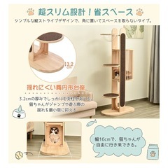 キャットタワー美品☆名東区にて11/2までに引き取り可能な方の画像
