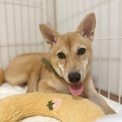 とっても頑張り屋さん！可愛いちりちゃん♡