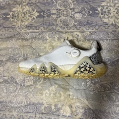 ゴルフシューズ　adidas コードカオスの画像