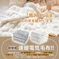 ふわとろ✨電気毛布 掛け敷き 厚手生地 防寒対策 抗菌 防臭 ダブル 丸洗い可の画像