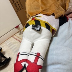 ぬいぐるみの画像