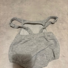 【おまけ付き⭐︎】チャンピオンの画像