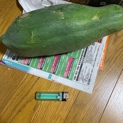 パパイヤ１個の画像