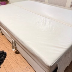 無料♪♪【お引越しに伴い】ニトリ ソファーベッド 汚れありの為の画像