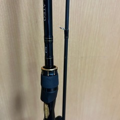 タトゥーラsvtw×ラテオ86LBの画像