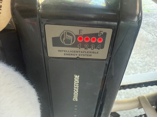 最終値下げ bikke POLAR e（スペシャルカラー） 15.4ah