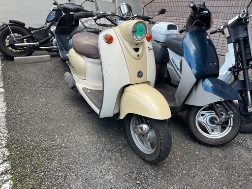 ビーノ快速❣️他在庫多数飛込見学大歓迎