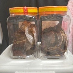 ノリ&スルメの画像