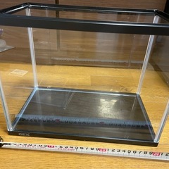 水槽セット　すぐに飼育できます！の画像