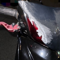 シグナス3型　国内の画像