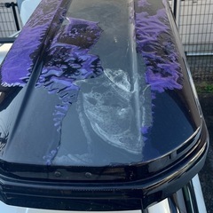 ルーフボックススーリー
の画像