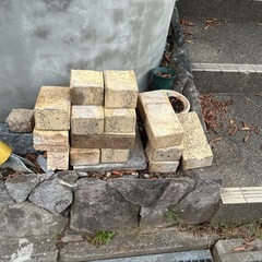 キャンセル出ました❗️持ち帰り放題‼️お庭の材料の画像