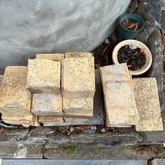 キャンセル出ました❗️持ち帰り放題‼️お庭の材料の画像