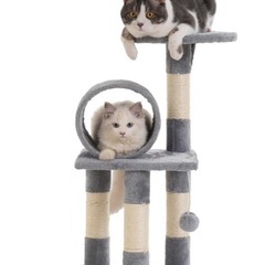 ミニキャットタワー の画像