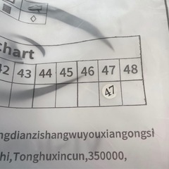 メンズ 防寒 靴 スノーシューズ ブーツ 雪靴 28.5cmの画像