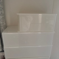 衣装ケース Mサイズ1点の画像