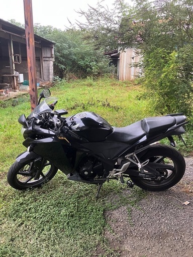 cbr250r mc41※お話し中