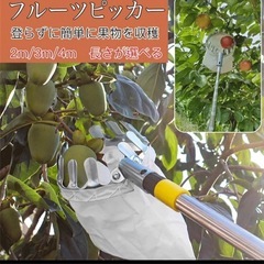【新品未使用】フルーツピッカー 5mの画像