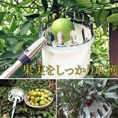 【新品未使用】フルーツピッカー 5mの画像