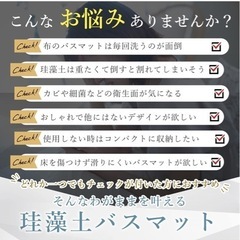 新品未使用　珪藻土　バスマットの画像