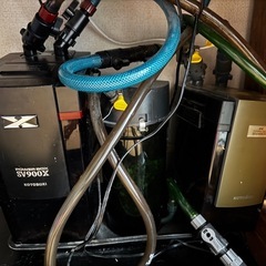 【受け渡し者きまりました】格安:90規格水槽セット！の画像