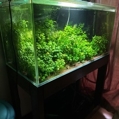 【受け渡し者きまりました】格安:90規格水槽セット！の画像