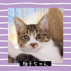 甘えん坊❤️柚子ちゃん