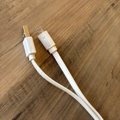 車で充電していたものの画像