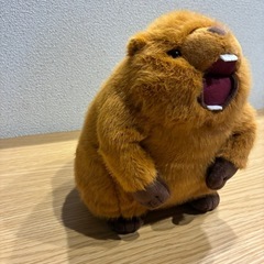 マーモット　音声ぬいぐるみ（レア）の画像