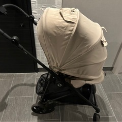 サイベックス　メリオ　2024 アーモンドベージュの画像